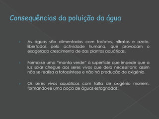 Consequências da poluição da água   As águas são alimentadas com fosfatos, nitratos e azoto, libertados pela actividade humana, que provocam o exagerado crescimento de das plantas aquáticas. Forma-se uma “manta verde” à superfície que impede que a luz solar chegue aos seres vivos que dela necessitam; assim não se realiza a fotossíntese e não há produção de oxigénio. Os seres vivos aquáticos com falta de oxigénio morrem, formando-se uma poça de águas estagnadas. 