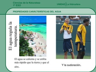 Ciencias de la Naturaleza 1º ESO PROPIEDADES CARÁCTERÍSTICAS DEL AGUA La Hidrosfera UNIDAD   El agua se calienta y se enfría más rápido que la tierra y que el aire . Y la sudoración . 