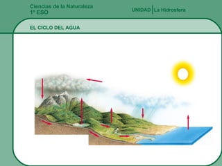 Ciencias de la Naturaleza 1º ESO La Hidrosfera UNIDAD   EL CICLO DEL AGUA 