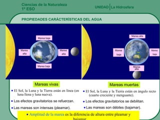Ciencias de la Naturaleza 1º ESO PROPIEDADES CARÁCTERÍSTICAS DEL AGUA La Hidrosfera UNIDAD   Mareas vivas Mareas muertas    Amplitud de la marea  es la diferencia de altura entre pleamar y bajamar. Marea alta Marea alta Marea baja Marea baja Marea baja Marea alta Marea alta Marea baja El Sol, la Luna y la Tierra están en línea (en luna llena y luna nueva).  Los efectos gravitatorios se refuerzan.  Las mareas son intensas (pleamar).  El Sol, la Luna y la Tierra están en ángulo recto (cuarto creciente y menguante).  Los efectos gravitatorios se debilitan.  Las mareas son débiles (bajamar).  
