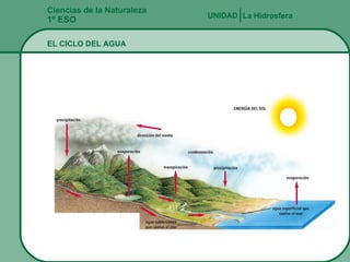 Ciencias de la Naturaleza 1º ESO La Hidrosfera UNIDAD   EL CICLO DEL AGUA 