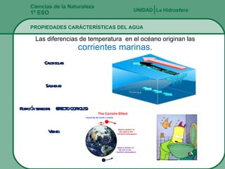 Ciencias de la Naturaleza 1º ESO PROPIEDADES CARÁCTERÍSTICAS DEL AGUA La Hidrosfera UNIDAD   Las diferencias de temperatura  en el océano originan las  corrientes marinas. Calor solar Salinidad Rotación terrestre  (EFECTO CORIOLIS) Viento 