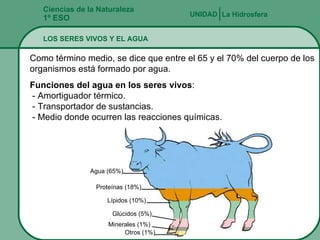 Ciencias de la Naturaleza 1º ESO LOS SERES VIVOS Y EL AGUA UNIDAD   La Hidrosfera Como término medio, se dice que entre el 65 y el 70% del cuerpo de los organismos está formado por agua. Funciones del agua en los seres vivos :  - Amortiguador térmico.  - Transportador de sustancias.  - Medio donde ocurren las reacciones químicas. Agua (65%) Proteínas (18%) Lípidos (10%) Glúcidos (5%) Minerales (1%) Otros (1%) 