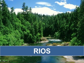 RIOS
 