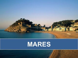 MARES
 