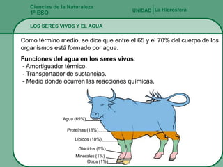 Ciencias de la Naturaleza
   1º ESO                              UNIDAD La Hidrosfera


   LOS SERES VIVOS Y EL AGUA

Como término medio, se dice que entre el 65 y el 70% del cuerpo de los
organismos está formado por agua.
Funciones del agua en los seres vivos:
- Amortiguador térmico.
- Transportador de sustancias.
- Medio donde ocurren las reacciones químicas.




               Agua (65%)

                 Proteínas (18%)

                    Lípidos (10%)

                      Glúcidos (5%)
                     Minerales (1%)
                          Otros (1%)
 