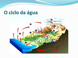 O ciclo da água 
 