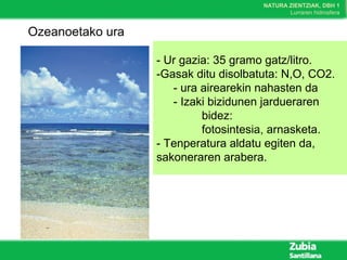 NATURA ZIENTZIAK, DBH 1
Lurraren hidrosfera
- Ur gazia: 35 gramo gatz/litro.
-Gasak ditu disolbatuta: N,O, CO2.
- ura airearekin nahasten da
- Izaki bizidunen jardueraren
bidez:
fotosintesia, arnasketa.
- Tenperatura aldatu egiten da,
sakoneraren arabera.
Ozeanoetako ura
 