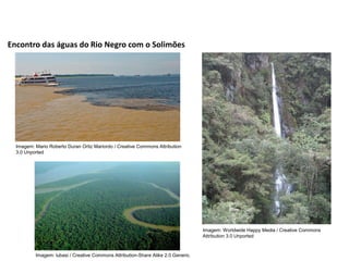 Encontro das águas do Rio Negro com o Solimões
Imagem: Mario Roberto Duran Ortiz Mariordo / Creative Commons Attribution
3.0 Unported
Imagem: lubasi / Creative Commons Attribution-Share Alike 2.0 Generic.
Imagem: Worldwide Happy Media / Creative Commons
Attribution 3.0 Unported
 