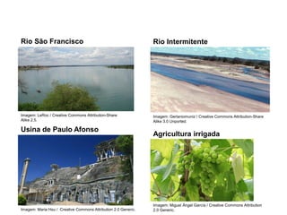 Rio São Francisco
Imagem: LeRoc / Creative Commons Attribution-Share
Alike 2.5.
Rio Intermitente
Imagem: Gerlaniomuniz / Creative Commons Attribution-Share
Alike 3.0 Unported.
Usina de Paulo Afonso
Imagem: Maria Hsu / Creative Commons Attribution 2.0 Generic.
Agricultura irrigada
Imagem: Miguel Ángel García / Creative Commons Attribution
2.0 Generic.
 