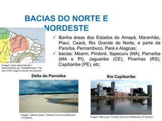 BACIAS DO NORTE E
NORDESTE
✓ Banha áreas dos Estados do Amapá, Maranhão,
Piauí, Ceará, Rio Grande do Norte, e parte da
Paraíba, Pernambuco, Pará e Alagoas;
✓ bacias: Mearin, Pindoré, Itapecuru (MA), Parnaíba
(MA e PI), Jaguaribe (CE), Piranhas (RS),
Capibaribe (PE), etc.
Delta do Parnaíba
Imagem: Gilberto Avilar / Creative Commons Attribution
1.0 Generic.
Rio Capibaribe
Imagem: Marcusrg / Creative Commons Attribution 2.0 Generic.
Imagem: Autor desconhecido /
disponibilizado por TheNewPhobia / The
use of this image is free for any purpose.
 