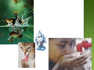 Hidrosfera ciclo del agua  5° a