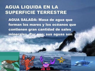  AGUA SALADA: Masa de agua que
forman los mares y los océanos que
contienen gran cantidad de sales
minerales. Por eso; sus aguas son
saladas.
 