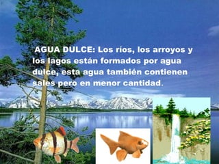AGUA DULCE: Los ríos, los arroyos y
los lagos están formados por agua
dulce, esta agua también contienen
sales pero en menor cantidad.
 