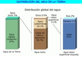 DISTRIBUCIÓN DEL AGUA EN LA TIERRA
 