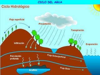 CICLO DEL AGUA
 
