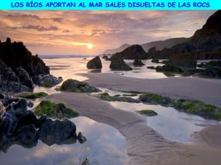 LOS RÍOS APORTAN AL MAR SALES DISUELTAS DE LAS ROCS
 