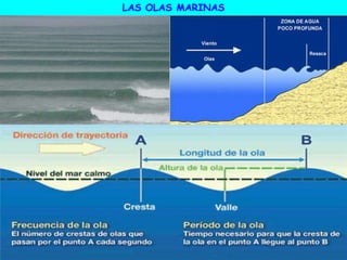 LAS OLAS MARINAS
 