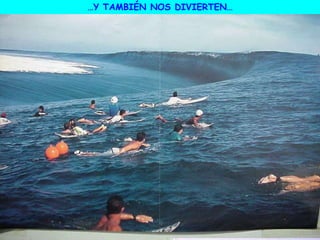 …Y TAMBIÉN NOS DIVIERTEN…
 