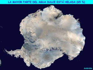 Antártida
LA MAYOR PARTE DEL AGUA DULCE ESTÁ HELADA (65 %)
 