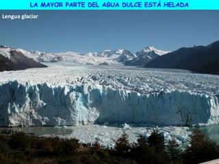 LA MAYOR PARTE DEL AGUA DULCE ESTÁ HELADA
Lengua glaciar
 