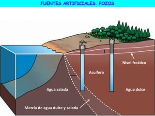 FUENTES ARTIFICIALES. POZOS
Mezcla de agua dulce y salada
Agua salada Agua dulce
Nivel freático
Acuífero
 