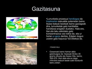 Gazitasuna
ITSASO HILA
• Ozeanoak baino hamar aldiz
gatzituagoa da: itsasoak litroko 35
gramo dituzte eta Itsaso Hila, berriz,
350-370. Hori dela eta ez dago
mikrobio batzuk beste izaki bizidunik
bere uretan.
•Lurrunketa prozesua handiagoa da
tropikoetan eskualde polarretan baino.
Itsaso batzuk besteak baino gaziagoak
dira, lurrunketak gatz kantitatea
handitzea eragiten duelako. Hala ere,
ibai eta laku askotako gatz
kontzentrazioa oso txikia da, eta ur
horiei ur-geza deritze. Edaten dugun
uraren gatz kopurua %0.05ekoa da.
 