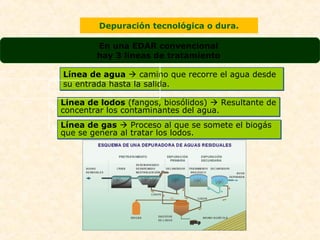 Depuración tecnológica o dura.
En una EDAR convencional
hay 3 líneas de tratamiento
Línea de agua  camino que recorre el agua desde
su entrada hasta la salida.
Línea de agua  camino que recorre el agua desde
su entrada hasta la salida.
Línea de lodos (fangos, biosólidos)  Resultante de
concentrar los contaminantes del agua.
Línea de lodos (fangos, biosólidos)  Resultante de
concentrar los contaminantes del agua.
Línea de gas  Proceso al que se somete el biogás
que se genera al tratar los lodos.
Línea de gas  Proceso al que se somete el biogás
que se genera al tratar los lodos.
 