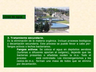 Línea de aguaLínea de agua
 