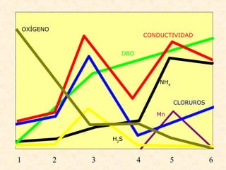 1 2 3 4 5 6
CONDUCTIVIDAD
CLORUROS
OXÍGENO
DBO
H2
S
NH4
Mn
 