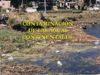 CONTAMINACIÓNCONTAMINACIÓN
DE LAS AGUASDE LAS AGUAS
CONTINENTALESCONTINENTALES
 