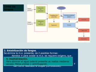 Línea de
fangos
Línea de
fangos
1. Espesamiento de fangos.
Se reduce el volumen eliminando el agua, por gravedad o flotación.3. Acondicionamiento químico.
Es la adición de compuestos químicos o de calor, para
provocar la coagulación de sólidos.
4. Deshidratación.
Para eliminar el agua todavía presente se realiza mediante
secado, filtros prensa y centrifugación.
 