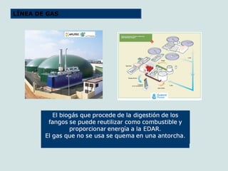 LÍNEA DE GASLÍNEA DE GAS
 
