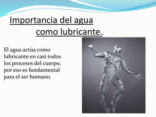 Importancia del agua
como lubricante.
El agua actúa como
lubricante en casi todos
los procesos del cuerpo,
por eso es fundamental
para el ser humano.
 