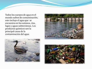 Todos los cuerpos de agua en el
mundo sufren de contaminación,
esto incluye el agua que se
encuentra en los océanos, ríos,
lagos y aguas subterráneas. Los
productos químicos son la
principal causa de la
contaminación del agua.
 