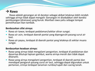  Rawa
Rawa adalah genangan air di daratan sebagai akibat letaknya lebih rendah
sehingga airnya tidak dapat mengalir. Genangan ini disebabkan oleh kondisi
pembuangan (drainase) yang buruk. Manfaat rawa yaitu sebagai tempat
pemeliharaan ikan tambak.
Berdasarkan sifat airnya:
 Rawa air tawar, terdapat pedalaman/sekitar aliran sungai.
 Rawa air asin, terdapat daerah pantai yang dipengaruhi pasang surut air
laut.
 Rawa air payau, terdapat di daerah pantai yang letaknya di sekitar muara
sungai.
Berdasarkan keadaan airnya:
 Rawa yang airnya tidak mengalami pergantian, terdapat di pedalaman dan
dasarnya ditutupi lapisan gambut, warna airnya merah dan tidak dapat
ditanami.
 Rawa yang airnya mengalami pergantian, terdapat di daerah pantai dan
mendapat pengaruh pasang surut air laut, sehingga dapat digunakan untuk
pertanian, cirinya terdapat tanaman rumbia/rupah dan cacing tanah.
 
