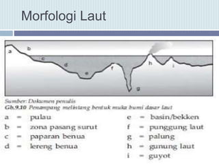 Morfologi Laut
 