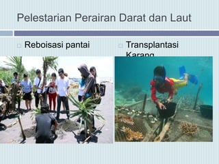 Pelestarian Perairan Darat dan Laut
 Reboisasi pantai  Transplantasi
Karang
 