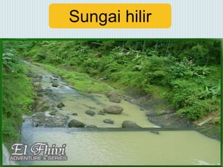 Sungai hilir
 