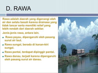 D. RAWA
Rawa adalah daerah yang digenangi oleh
air dan selalu basah karena drainase yang
tidak lancar serta memiliki relief yang
lebih rendah dari daerah sekitar.
Jenis-jenis rawa, antara lain.
Rawa payau, dipengaruhi oleh pasang
surut air laut.
Rawa sungai, berada di kanan-kiri
sungai.
Rawa pantai, terdapat dipinggir pantai.
Rawa danau, terjadi karena dipengaruhi
oleh pasang surut air danau.
 