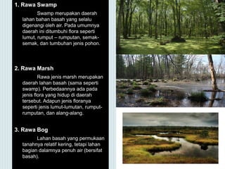 1. Rawa Swamp
Swamp merupakan daerah
lahan bahan basah yang selalu
digenangi oleh air. Pada umumnya
daerah ini ditumbuhi flora seperti
lumut, rumput – rumputan, semak-
semak, dan tumbuhan jenis pohon.
2. Rawa Marsh
Rawa jenis marsh merupakan
daerah lahan basah (sama seperti
swamp). Perbedaannya ada pada
jenis flora yang hidup di daerah
tersebut. Adapun jenis floranya
seperti jenis lumut-lumutan, rumput-
rumputan, dan alang-alang.
3. Rawa Bog
Lahan basah yang permukaan
tanahnya relatif kering, tetapi lahan
bagian dalamnya penuh air (bersifat
basah).
 