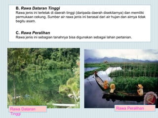 B. Rawa Dataran Tinggi
Rawa jenis ini terletak di daerah tinggi (daripada daerah disekitarnya) dan memiliki
permukaan cekung. Sumber air rawa jenis ini berasal dari air hujan dan airnya tidak
begitu asam.
C. Rawa Peralihan
Rawa jenis ini sebagian tanahnya bisa digunakan sebagai lahan pertanian.
Rawa Dataran
Tinggi
Rawa Peralihan
 