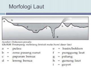 Morfologi Laut
 