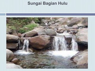 Sungai Bagian Hulu
 