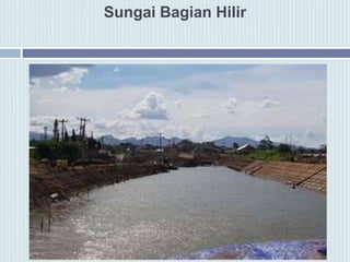 Sungai Bagian Hilir
 