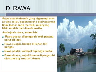 D. RAWA
Rawa adalah daerah yang digenangi oleh
air dan selalu basah karena drainase yang
tidak lancar serta memiliki relief yang
lebih rendah dari daerah sekitar.
Jenis-jenis rawa, antara lain.
Rawa payau, dipengaruhi oleh pasang
surut air laut.
Rawa sungai, berada di kanan-kiri
sungai.
Rawa pantai, terdapat dipinggir pantai.
Rawa danau, terjadi karena dipengaruhi
oleh pasang surut air danau.
 