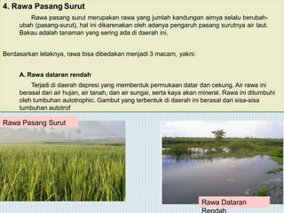 4. Rawa Pasang Surut
Rawa pasang surut merupakan rawa yang jumlah kandungan airnya selalu berubah-
ubah (pasang-surut), hal ini dikarenakan oleh adanya pengaruh pasang surutnya air laut.
Bakau adalah tanaman yang sering ada di daerah ini.
Berdasarkan letaknya, rawa bisa dibedakan menjadi 3 macam, yakni:
A. Rawa dataran rendah
Terjadi di daerah depresi yang membentuk permukaan datar dan cekung. Air rawa ini
berasal dari air hujan, air tanah, dan air sungai, serta kaya akan mineral. Rawa ini ditumbuhi
oleh tumbuhan autotrophic. Gambut yang terbentuk di daerah ini berasal dari sisa-sisa
tumbuhan autotrof
Rawa Pasang Surut
Rawa Dataran
 
