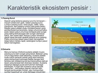 Karakteristik ekosistem pesisir :
1.Pasang Surut
 Daerah yang terkena pasang surut itu brmacam –
macam antara lain gisik, rataan pasang surut.
Lumpur pasang surut, rawa payau, delta, rawa
mangrove, dan padang rumput (sea grass beds).
Rataan pasut adalah suatu mintakat pesisir yang
pembentukannya beraneka, tetapi umumnyahalus,
pada rataan pasut umumnya terdapat pola sungai
yang saling berhubungan dan sungai utamanya
halus, dan masih labil. Artinya Lumpur tersebut
dapat cepat berubah apabila terkena arus pasang.
Pada umumnya rataan pasut telah bervegetasi
tetapi belum terlalu rapat, sedangkan lumpur pasut
belum bervegetasi.
2.Estuaria
 Menurut kamus (Oxford) eustaria adalah muara
pasang surut dari sungai yang besar. Batasan yang
umum digunakan saat sekarang, eustaria adalah
suatu tubuh perairan pantai yang semi tertutup,
yang mempunyai hubungan bebas dengan laut
terbuka dan didalamnya ait laut terencerkan olehair
tawar yang berasal dari drainase daratan. Eustaria
biasanya sebagai pusat permukiman berbagai
kehidupan. Fungsi dari eustaria cukup banyak
antara lain : merupakan daerah mencari ikan,
tempat pembuangan limbah, jalur transportasi,
sumber keperluan air untuk berbagai industridan
 