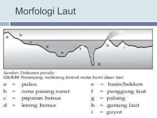 Morfologi Laut
 