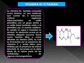 VITAMINA B1 O TIAMINA
La vitamina B1, también conocida
como tiamina, es una molécula
que consta de 2 estructuras
cíclicas
orgánicas
interconectadas:
un
anillo
pirimidina con un grupo amino y
un anillo tiazol azufrado unido a la
pirimidina por un puente metileno.
Es soluble en agua e insoluble en
alcohol. Su absorción ocurre en el
intestino delgado (yeyuno, ileon)
como tiamina libre y como
difosfato de tiamina (TDP), la cual
es favorecida por la presencia de
vitamina C y ácido fólico pero
inhibida por la presencia de etanol
(alcohol). Es necesaria en la dieta
diaria de la mayor parte de los
vertebrados
y
de
algunos microorganismos

 
